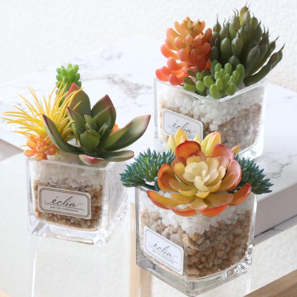 tFCNO[ GNA LA[eBtBVO[ STCY i ϗtA tFCN lHϗtA A CTG} L h R   j