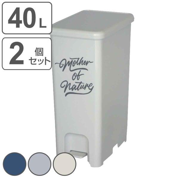 ごみ箱 ゴミ箱 40リットル フタ付き 足踏み式 ペダル ペダル式 ブラバンシア ステップアップ ペダルビン 40L brabantia【ゴミ箱