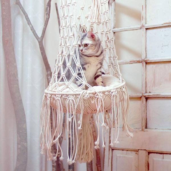 colorfulbox_424337