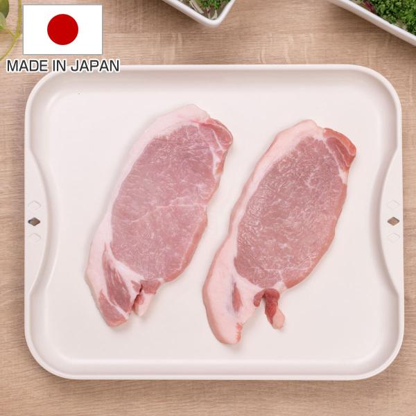 他サイト： 解凍皿 Newクイッ君 解凍プレート 日本製 （ 解凍ボード 解凍バット 粗熱取り ）の商品画像