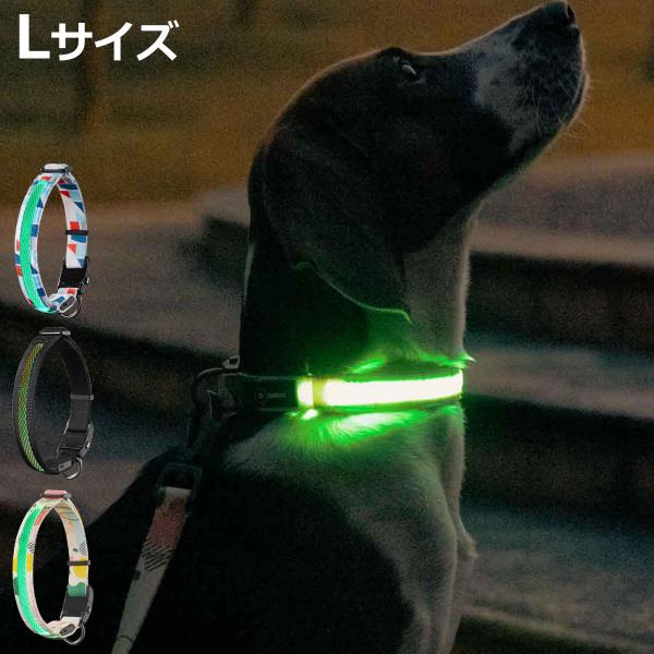 首輪 光る ドッグネス LED首輪 L （ ライト 散歩 犬 犬用ライト 夜散歩 充電式 LED 生活防水 明るい 大型犬 ）