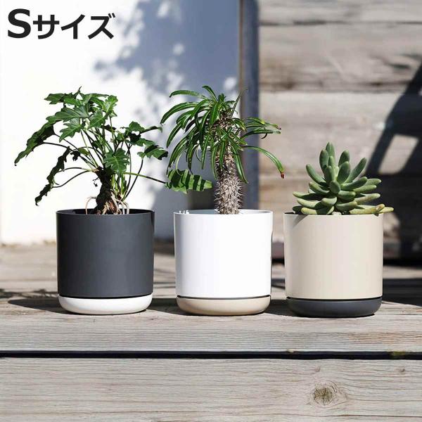 magnet 植木鉢 エスジーアイポット S 5号 受け皿付き （ フラワー