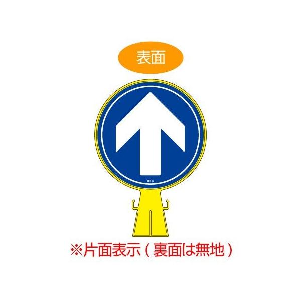 R[wbhW@uiv@Жʕ\@a30cm i Ŕ TCX^h OpR[ j