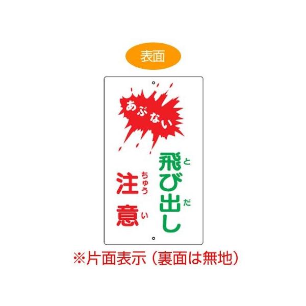 W@uԂȂ@яoӁv@Жʕ\@X`[@Ŕ@ē i \W j