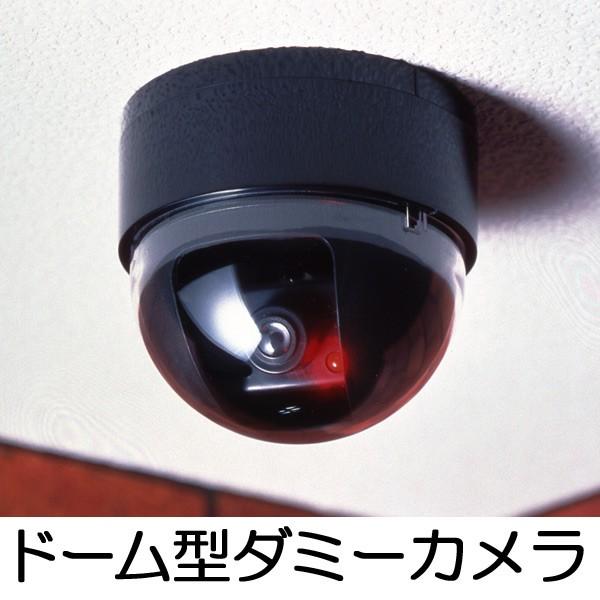 hƃJ@_~[@h[^hƃ_~[J i ĎJ ZLeBJ O  j