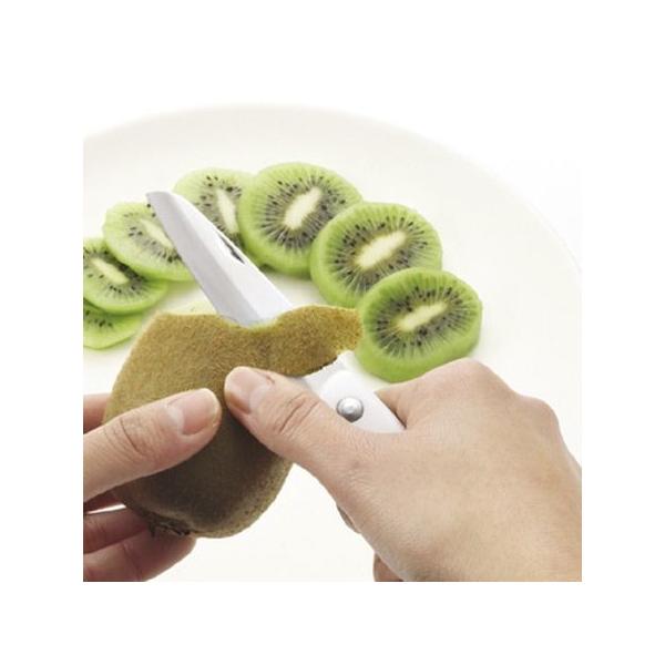 ʕiCt@܍t[ciCt@@XeX i ʕ [ j