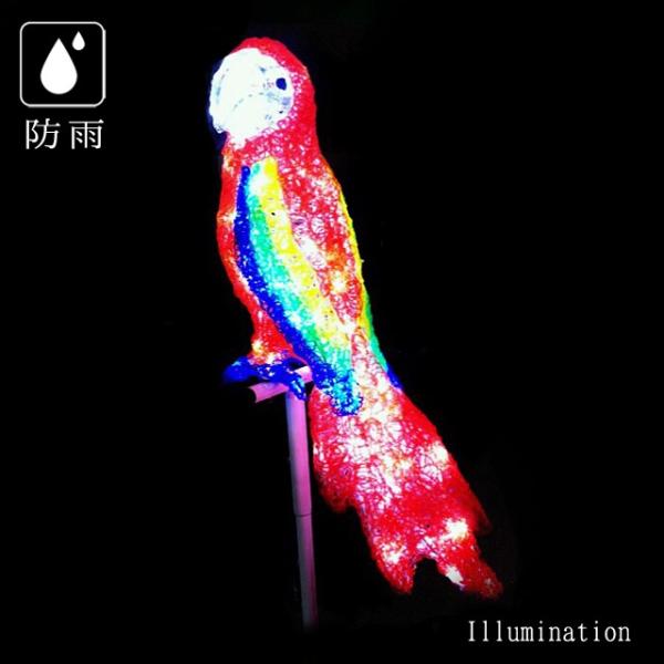 colors-pro_acr-bird-pb