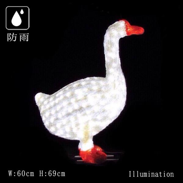 Ɩp C~l[V `[t RD NX}X O hJ LED NX^O[ AqB