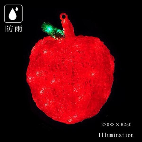 Ɩp C~l[V `[t RD NX}X ʕ O hJ LED NX^O[ t[c Abv