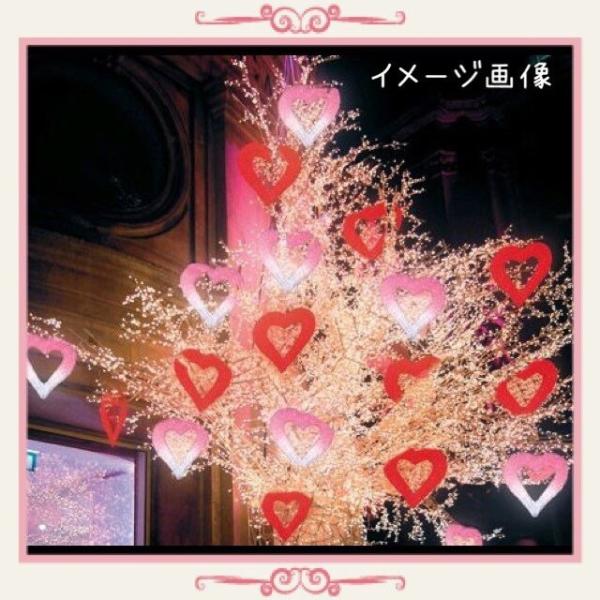 イルミネーション モチーフ ３d クリスマス バレンタイン 屋外 防雨 Ledクリスタルグローハート ホワイトピンク Buyee Buyee Japanese Proxy Service Buy From Japan Bot Online