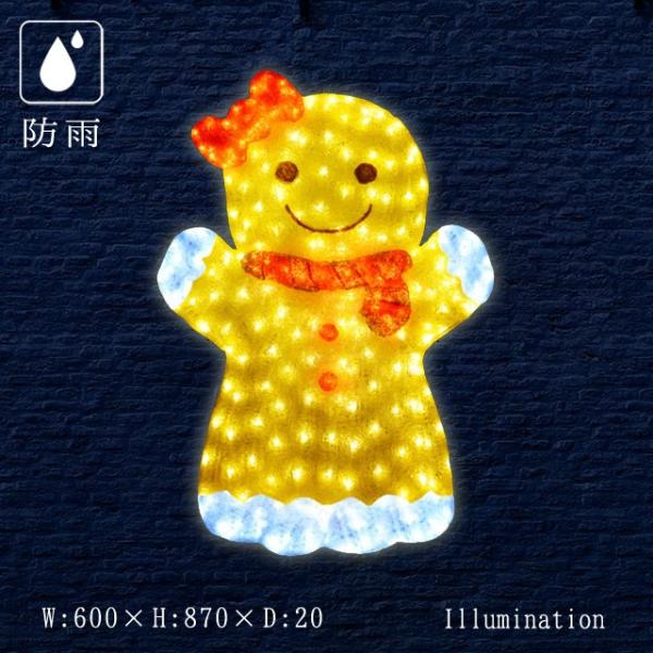 Ɩp C~l[V `[t 2D NX}X O hJ LED NX^O[ XC[c NbL[K[