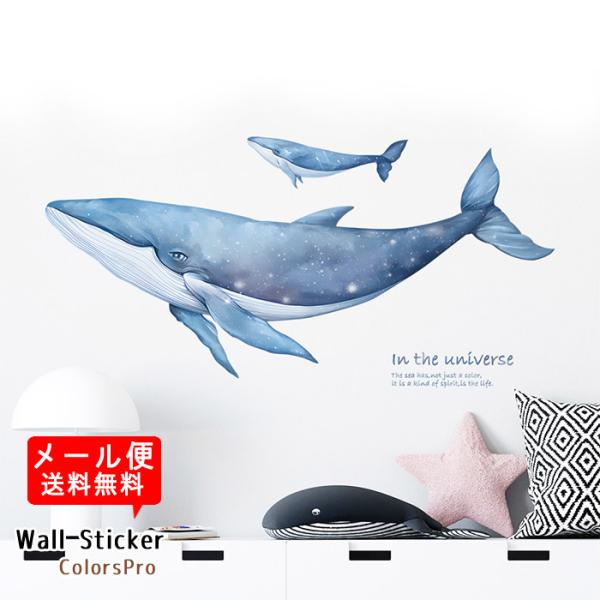 ウォールステッカー くじら 鯨 海 海中 泳ぐ 夏 はがせる 壁飾り カフェ インテリアシール Ws Rq9263 Diyインテリアのお店 Colorspro 通販 Yahoo ショッピング