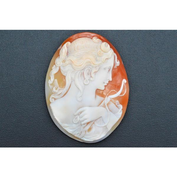 colorsshop1614_ch-329