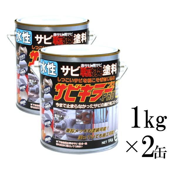 yz TrL[PRO Vo[ [ 1kg×2ʃZbg ]  BAN-ZI TrL[v F v pro 
