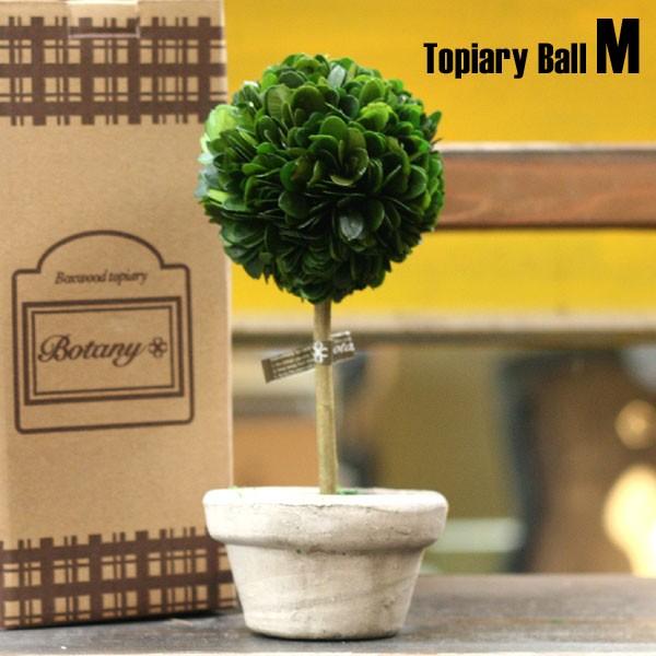 Dulton ダルトン ボックスウッドトピアリー ボール Ch07 G297 サイズ M インテリア 観葉植物 J アメリカン雑貨colour Yahoo 店 通販 Yahoo ショッピング