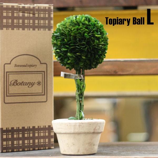 Dulton ダルトン ボックスウッドトピアリー ボール Ch07 G297 サイズ L インテリア 観葉植物 J アメリカン雑貨colour Yahoo 店 通販 Yahoo ショッピング