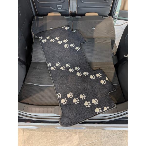 colt-speed_csmdf01_5_d_20251122175437