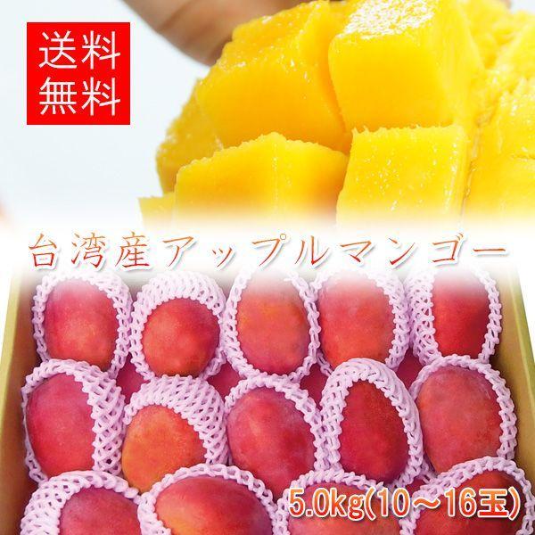 アップルマンゴー 台湾産 5.0kg（10-16玉入）【6月中旬以降〜7月中旬