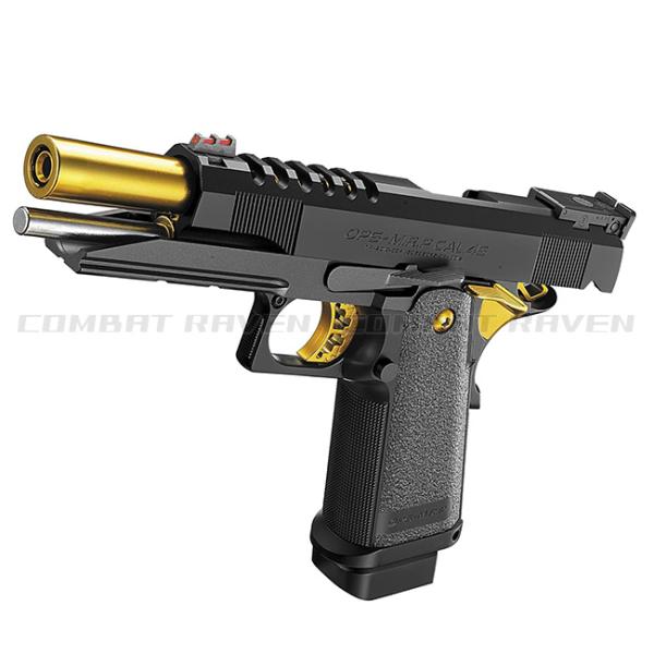 combatraven_0100-0121_5_d_20240523141053