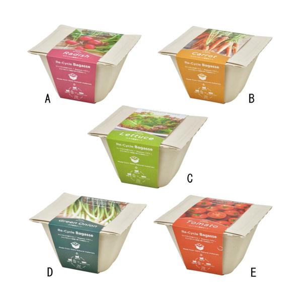 他サイト： バガスグリーンの商品画像