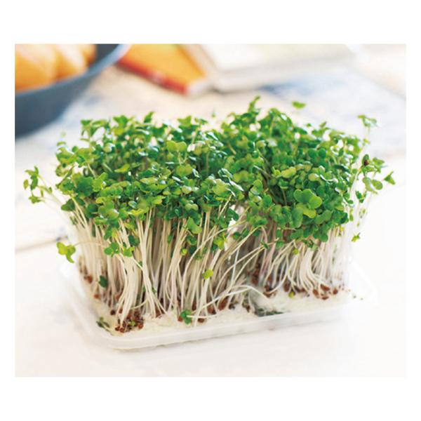 栽培期間は約10日間。家庭で手軽に始められる野菜作りです。素材： 紙・PP・ウレタン付属品、セット内容： 種子・トレー・マット・取説重量： 20g現品サイズ： トレー/93×150×15mm・マット/70×120×3mm【★ご注文のタイミン...