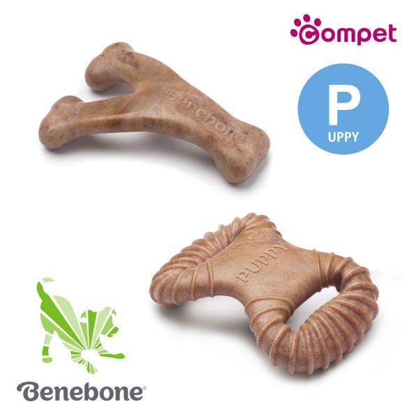 compet xl{[ ps[ 2pbN x[R EBbV{[f^`[