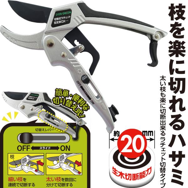 ؑ֎ `Fbg  cw } }͂ ΂ | K[fjO _   _ ƒ؉ p H ӂƎ}؂ i