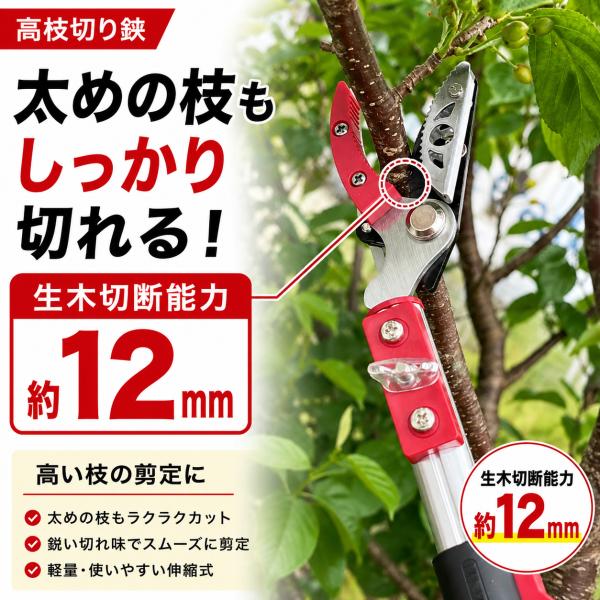 ���}�؂�o�T�~ 3.5m �����} ���� �� ����΂��� ���}�؂�̂����� �}�؂�o�T�~ �}�؂�͂��� ���}�؋� ���}�؂��� �}����΂��� �� �y�� �y�� ��؂̙��� ���i�摜3