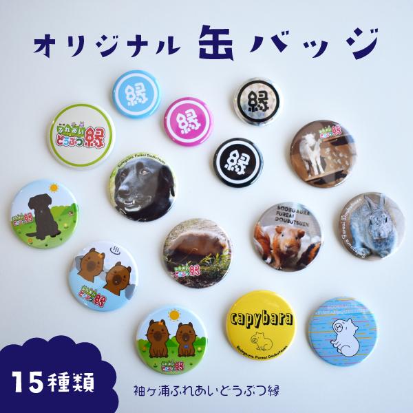 缶バッジ 袖ヶ浦ふれあいどうぶつ縁 オリジナルグッズ : 縁長ルカの