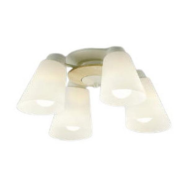 RCY~Ɩ LEDVfA FELINARE(tFi[) Kp`6 AA42070L