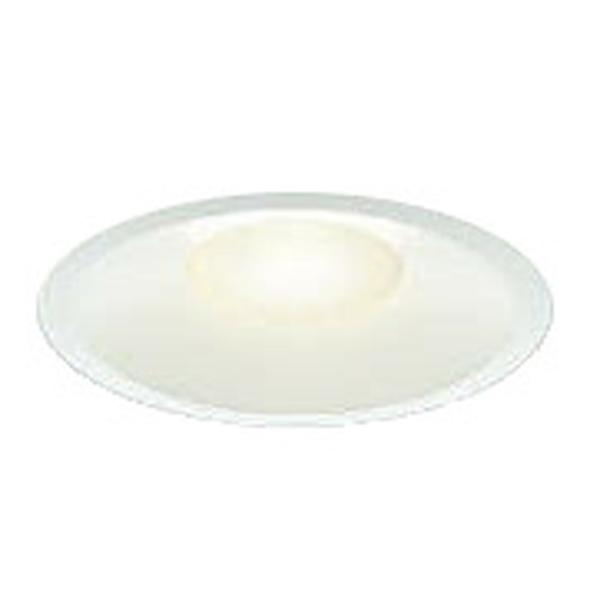 RCY~Ɩ LED_ECg hJh^ 100 XΓVΉ 100W t@CzCg F:AD51092