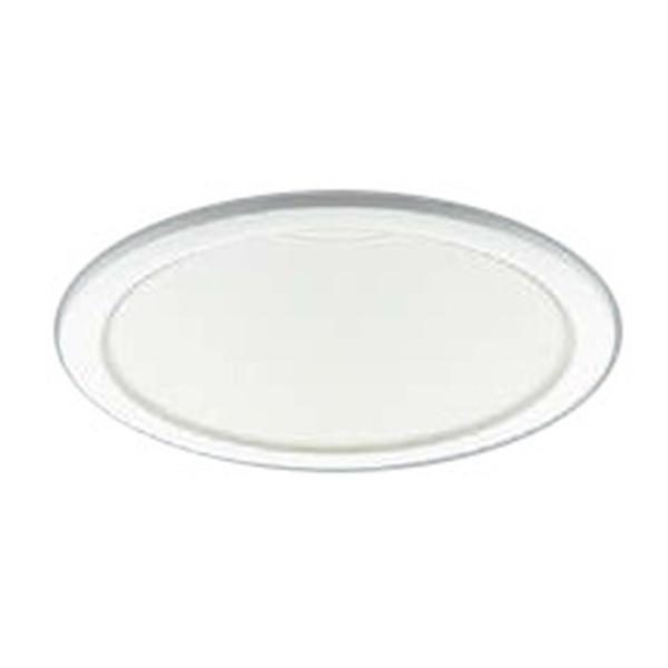 �R�C�Y�~�Ɩ� LED�_�E�����C�g M�` �R���t�H�[�g FHT42W���� �g�U ��125 ���F AD52988