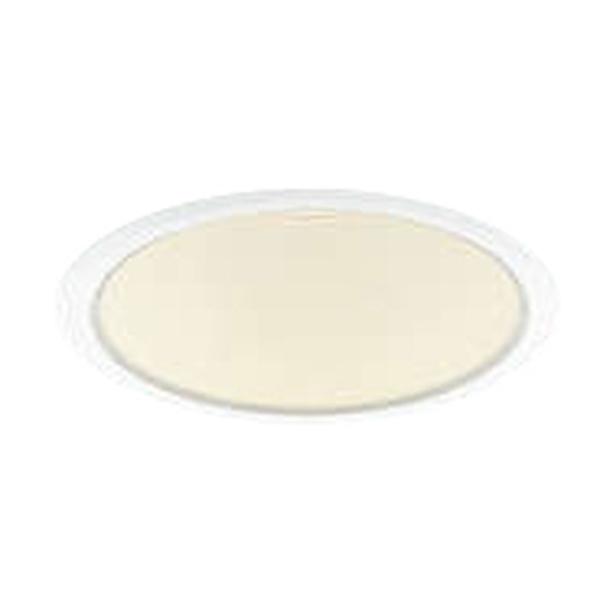 �R�C�Y�~�Ɩ� LED�_�E�����C�g M�` �R���t�H�[�g 100W���� �g�U ��100 �d���F(2700K) AD53319