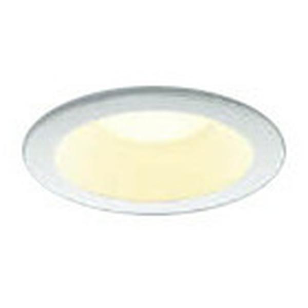 �R�C�Y�~�Ɩ� LED�_�E�����C�g �h�J�h���^ ��������75 �X�ΓV��Ή� 100W���� �t�@�C���z���C�g �d���F:AD7003W27