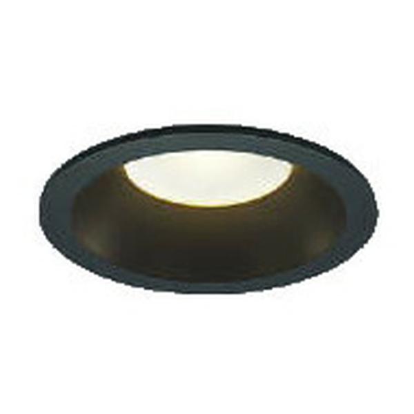 RCY~Ɩ LED_ECg 100 XΓVΉ EFؑ 100W ubN dF{F:AD7125B99