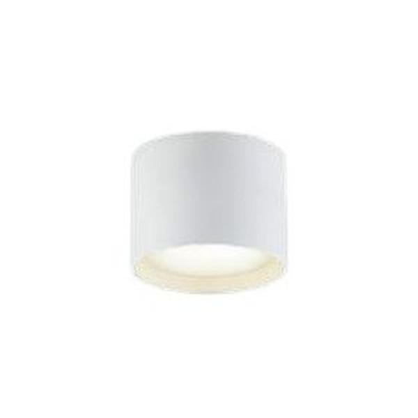 �R�C�Y�~ LED�V�[�����O ���^ 100W���� �t�@�C���z���C�g �����F�FAH54204