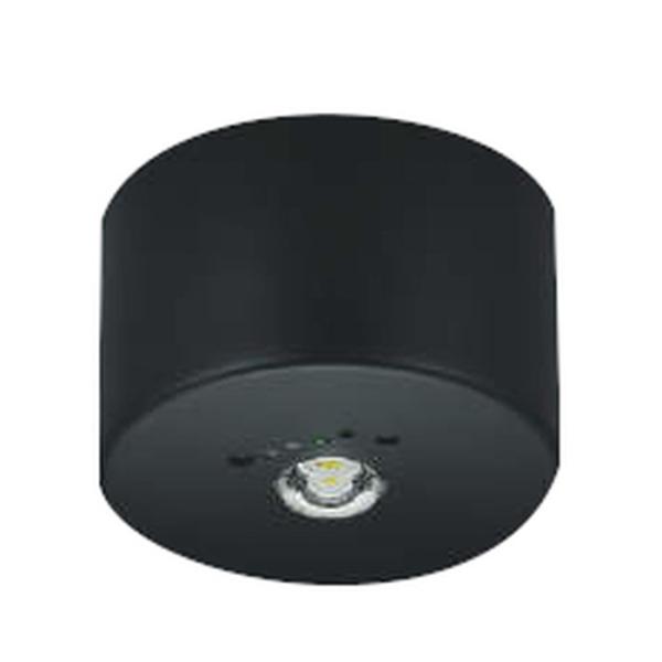 RCY~Ɩ LEDpƖ t^ pnQ30W 100 F AR52841