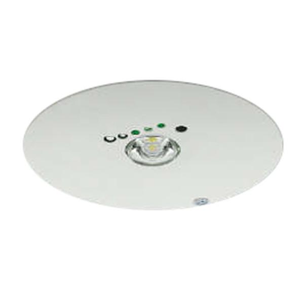 �R�C�Y�~�Ɩ� LED���p�Ɩ� �Z��p �����^ �d�r�����` ���p�n���Q��13W���� ��������150 �����F AR52846