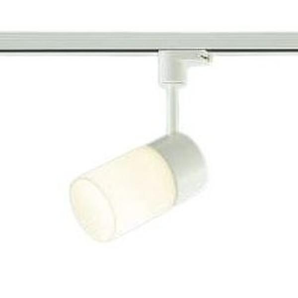 RCY~Ɩ z_Ng[p LEDX|bgCg  M100W  AS39983L