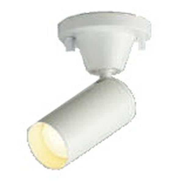 RCY~Ɩ LEDX|bgCg gU 40W t@CzCg dF:AS51256