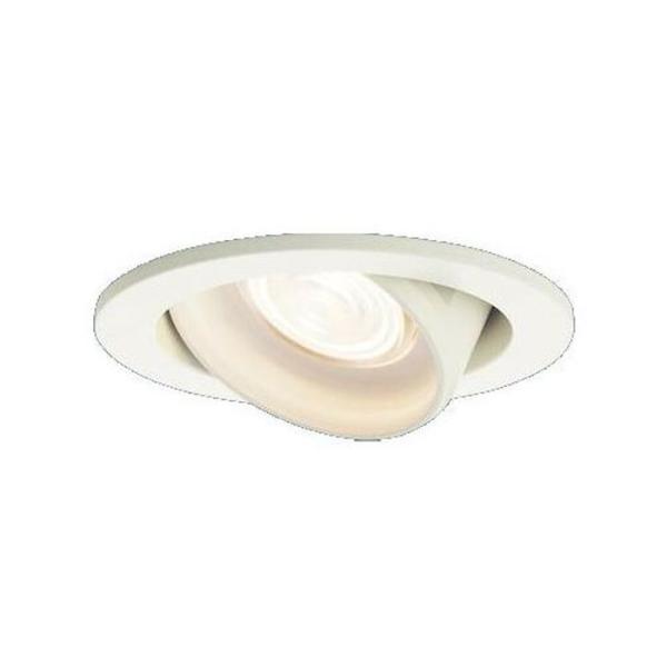 �p�i�\�j�b�N LED���j�o�[�T���_�E�����C�g ���� 110V�_�C�N�[���d��60�`1������ ��������100 �d���F�FLGD1422LLB1