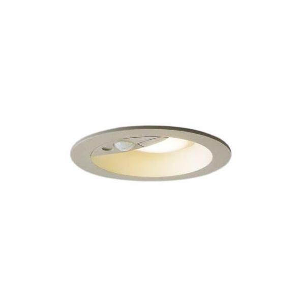 �p�i�\�j�b�N �G�N�X�e���A LED�_�E�����C�g �����p FreePa �h�J�^ �g�U ��������100 �i���� ���M�d��60�`1������ �d���F�FLRDC1145LLE1