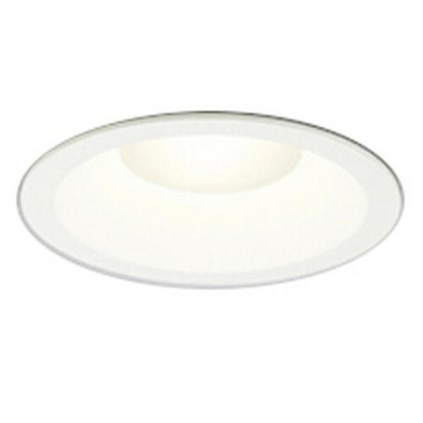 I[fbN _ECg OD261736R dF FLED 񒲌 125 CSB`