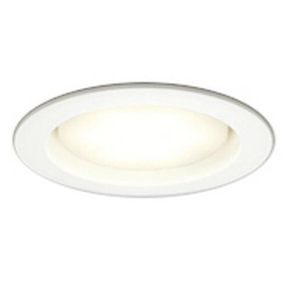 �I�[�f���b�N LED�_�E�����C�g ��^ ��������100 ���M��100W�N���X �d���F:OD361203LDR