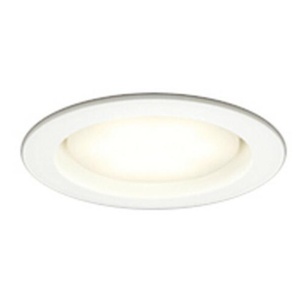 �_�E�����C�g LED �I�[�f���b�N ��^ ��������100 ���M��60W�N���X �d���F OD361204LDR ������
