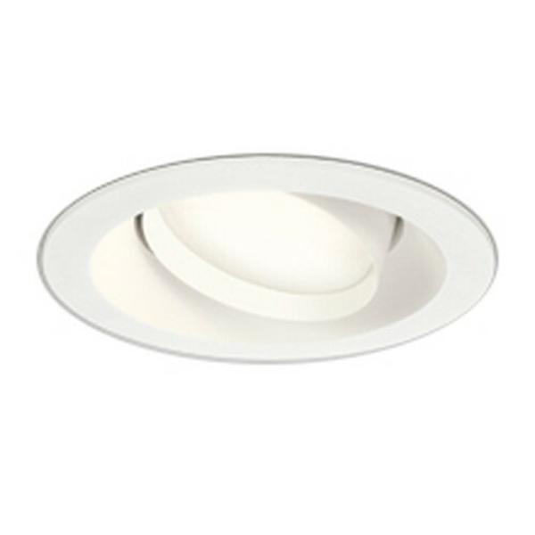 �I�[�f���b�N LED�_�E�����C�g ��^ ��������125 ���M��100W�N���X �d���F:OD361241LDR