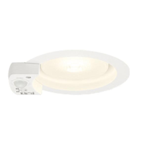 I[fbN LED_ECg S` F GX53 񒲌 lZT[ 100 M100W ~fBAz dF ItzCg:OD361411MLR