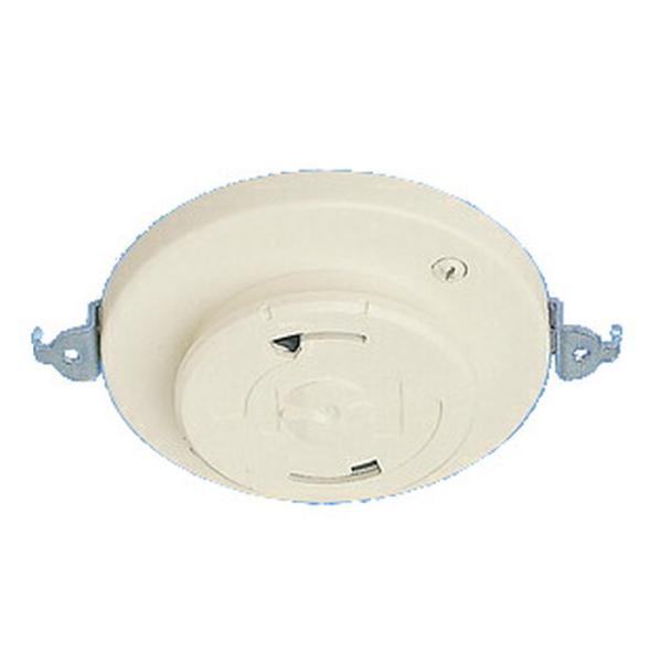 �p�i�\�j�b�N �z����� WG6005W �t�����|���[�[�b�g (�I�o�E�������p)�~���L�[�z���C�g �t���[�q ����[�q�t