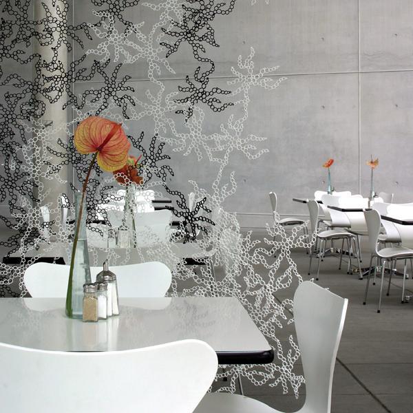 p[e[V  RWI koziol Amoebe 6Zbg