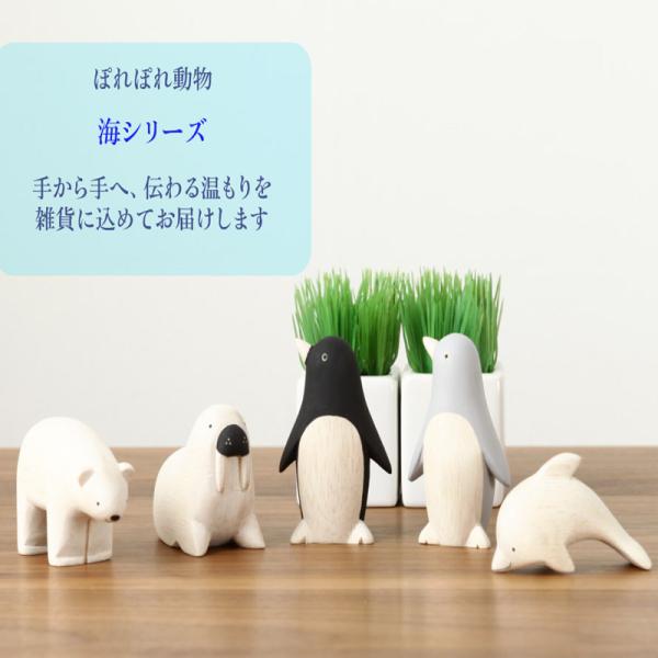 ۂۂ/porepore/CV[Y/ؒ//El//Ԃ/VR/v[g/yY/v[g/킢/ʂ/u